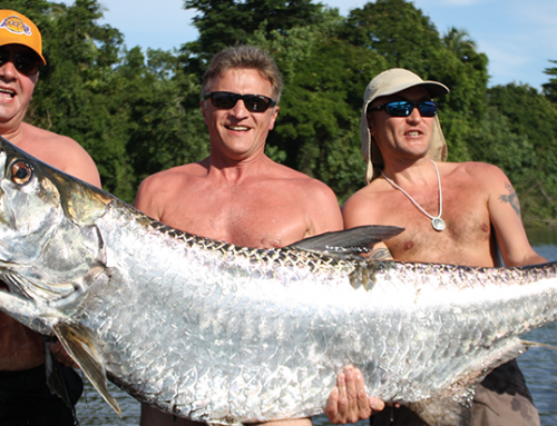 Costa Rica Fishing: When and Where