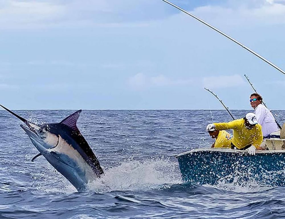Best Marlin Fishing In Costa Rica - Blue Marlin Fishing Season Trips